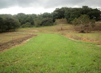 HERMOSO TERRENO EN BUENA VISTA ICHILO